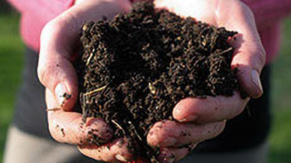 soil-in-hands
