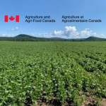 ag canada website logo