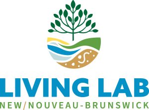 frn-full-color-rgb-900px-w-72ppi