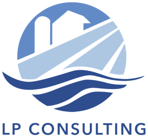 LP Consulting