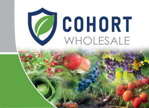 Screenshot 2025-02-13 115355