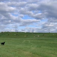IMG_8929